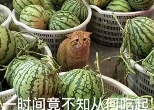 内娱开年王炸,一人睡遍所有顶流男明星?_内娱开年王炸,一人睡遍所有顶流男明星?_