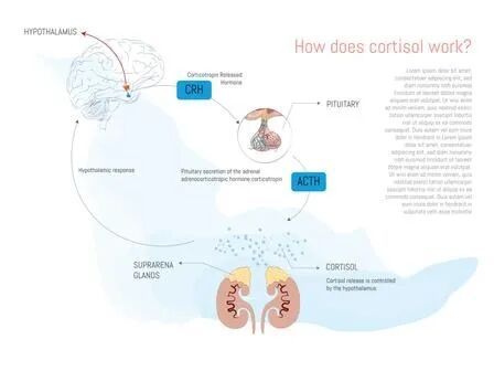 _内娱开年王炸,一人睡遍所有顶流男明星?_内娱开年王炸,一人睡遍所有顶流男明星?