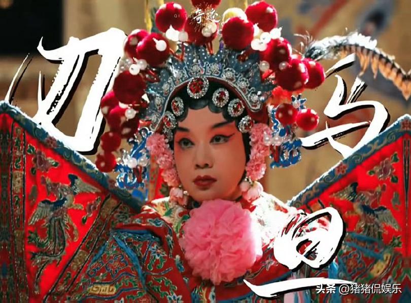 _胡歌节目_胡歌央视