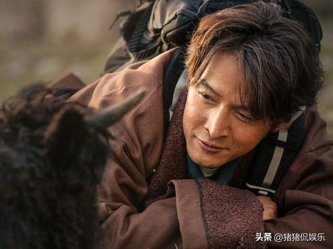 胡歌节目__胡歌央视