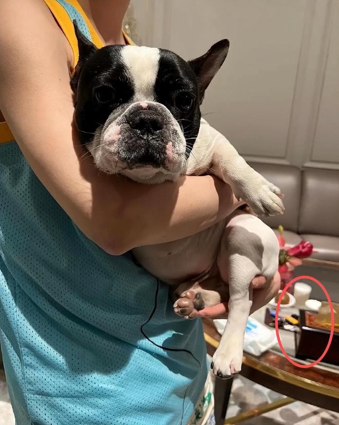 鹿晗搂着关晓彤的腰_鹿晗关晓彤啊_