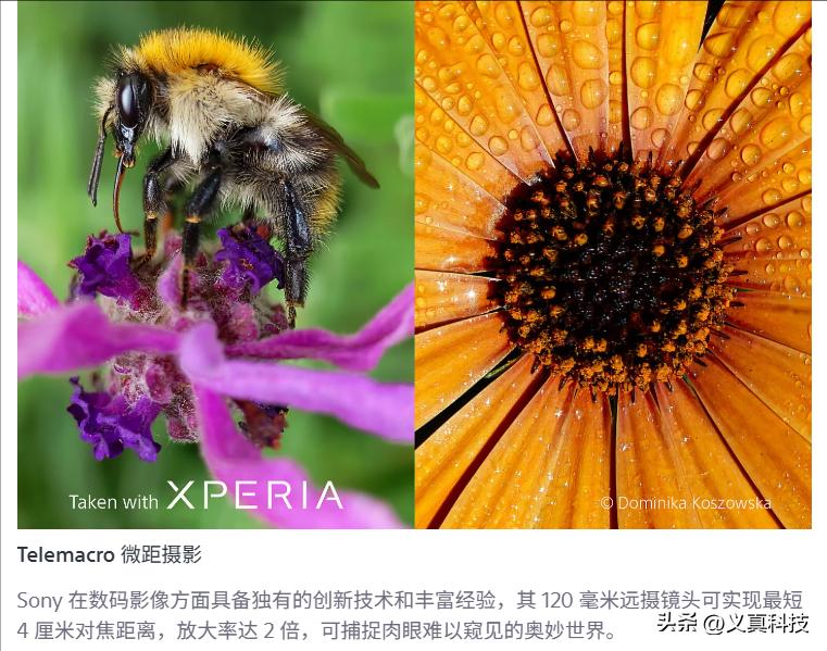 _小米长焦微距镜头是什么意思_小米超长焦